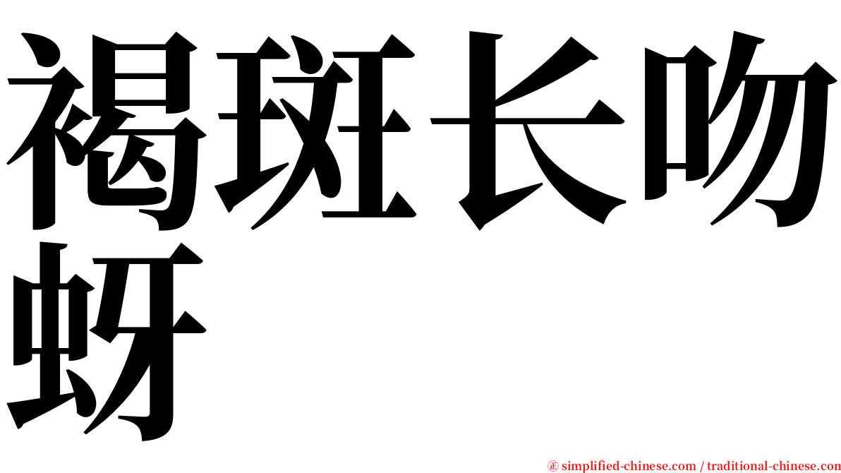 褐斑长吻蚜 serif font