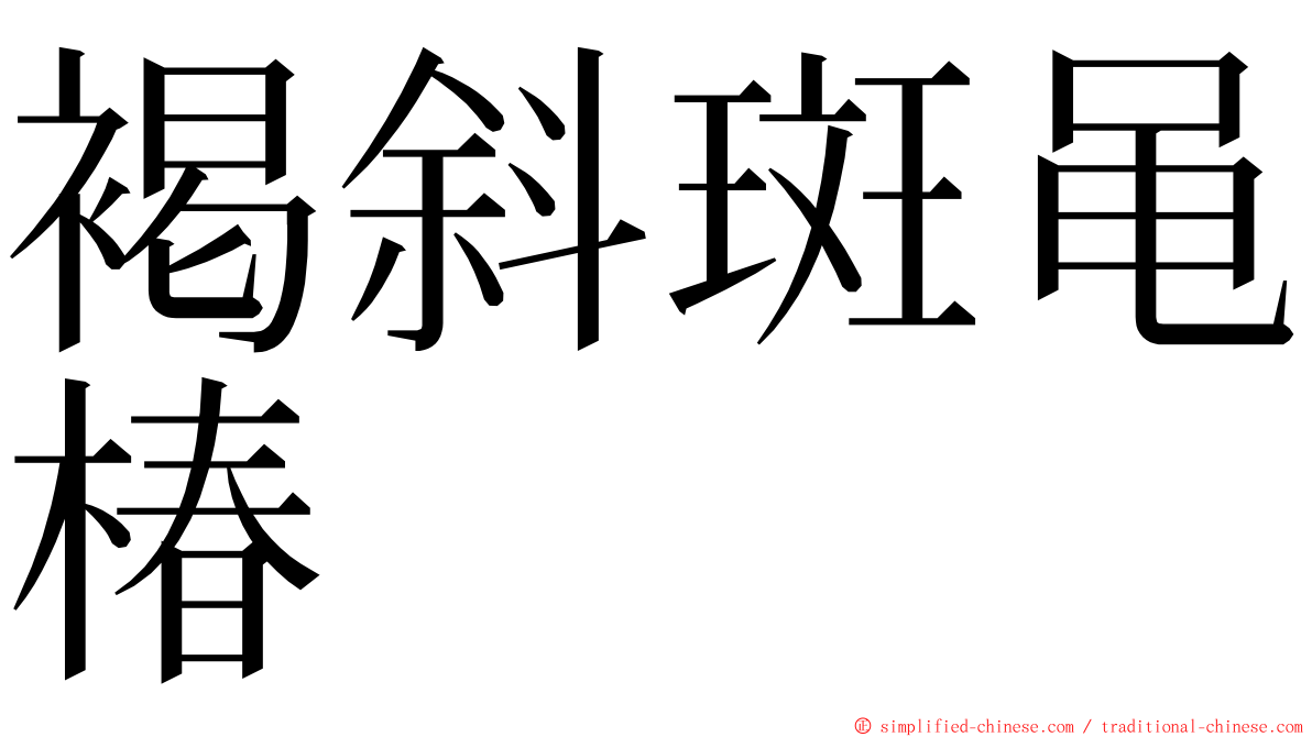 褐斜斑黾椿 ming font