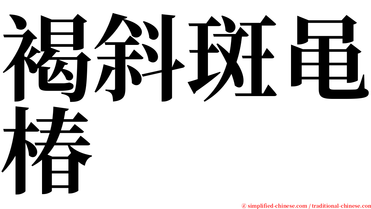 褐斜斑黾椿 serif font