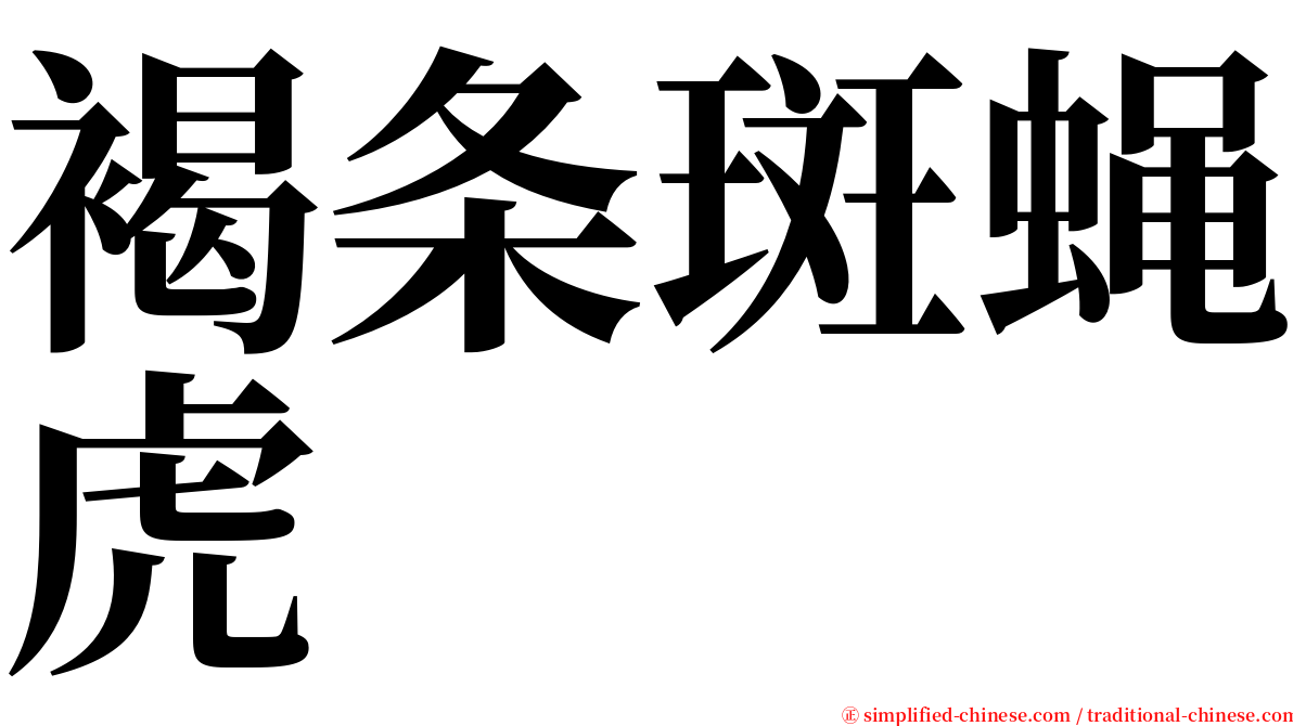 褐条斑蝇虎 serif font