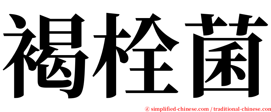 褐栓菌 serif font