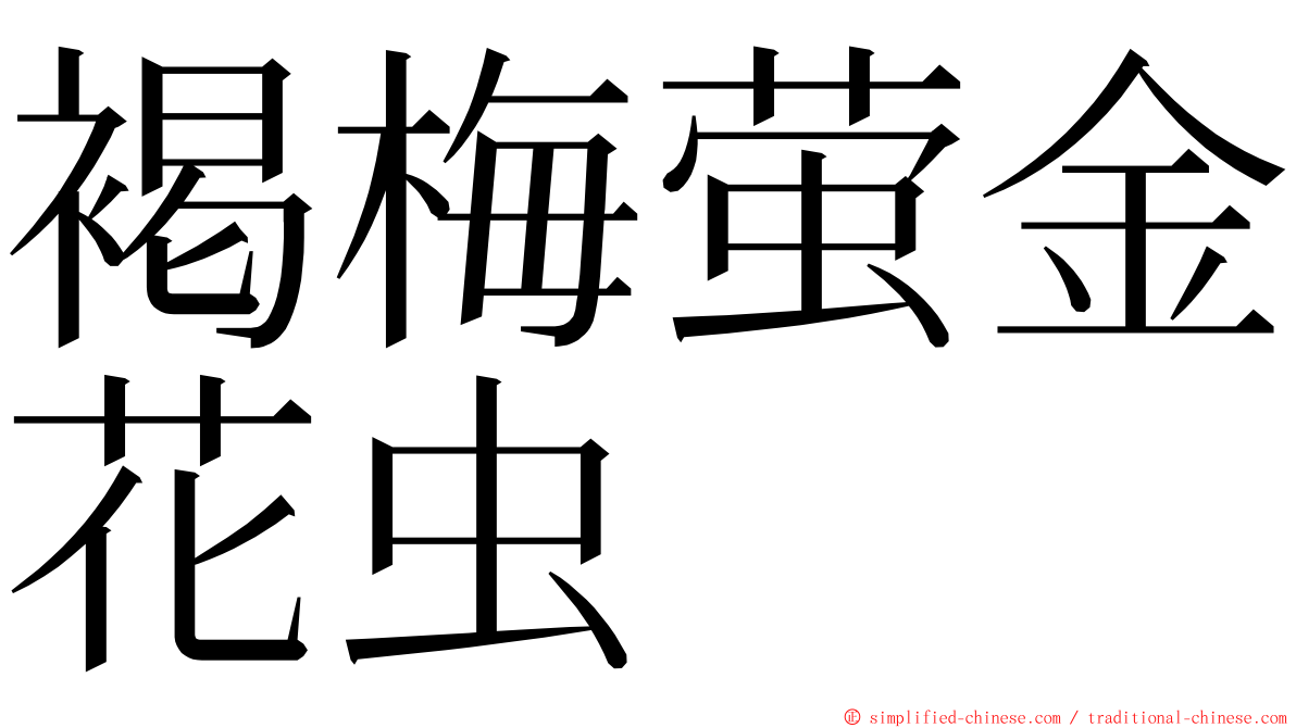 褐梅萤金花虫 ming font