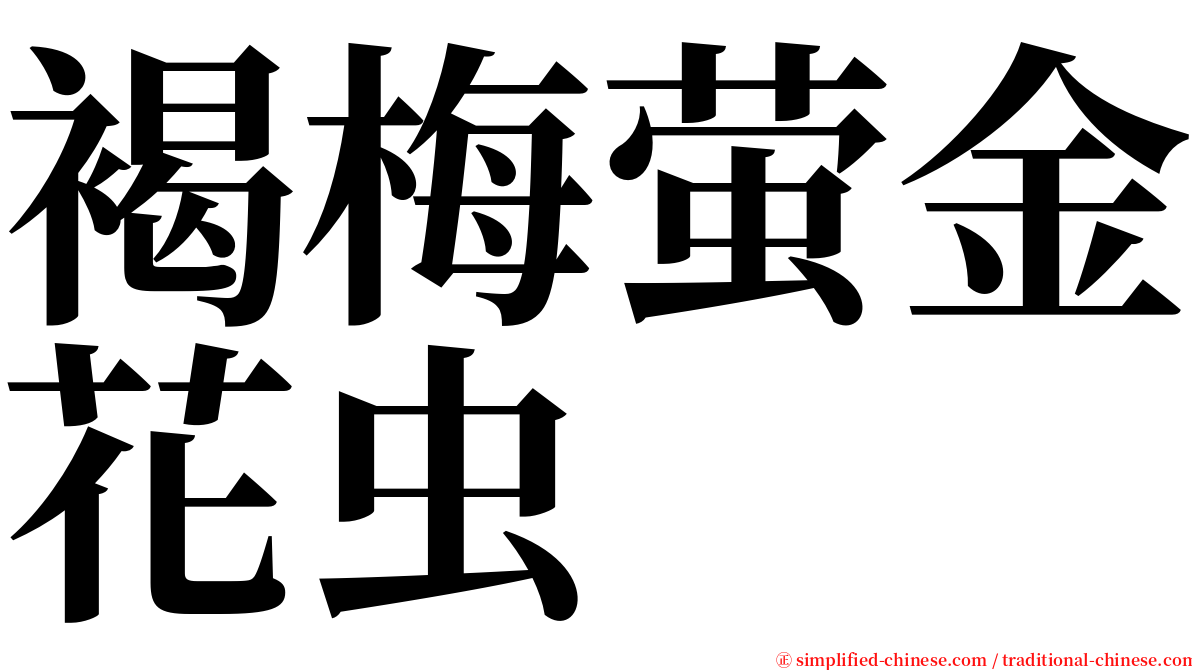 褐梅萤金花虫 serif font