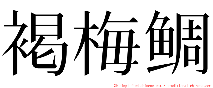 褐梅鲷 ming font