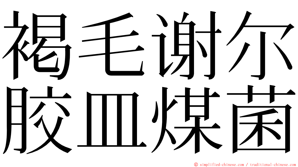 褐毛谢尔胶皿煤菌 ming font