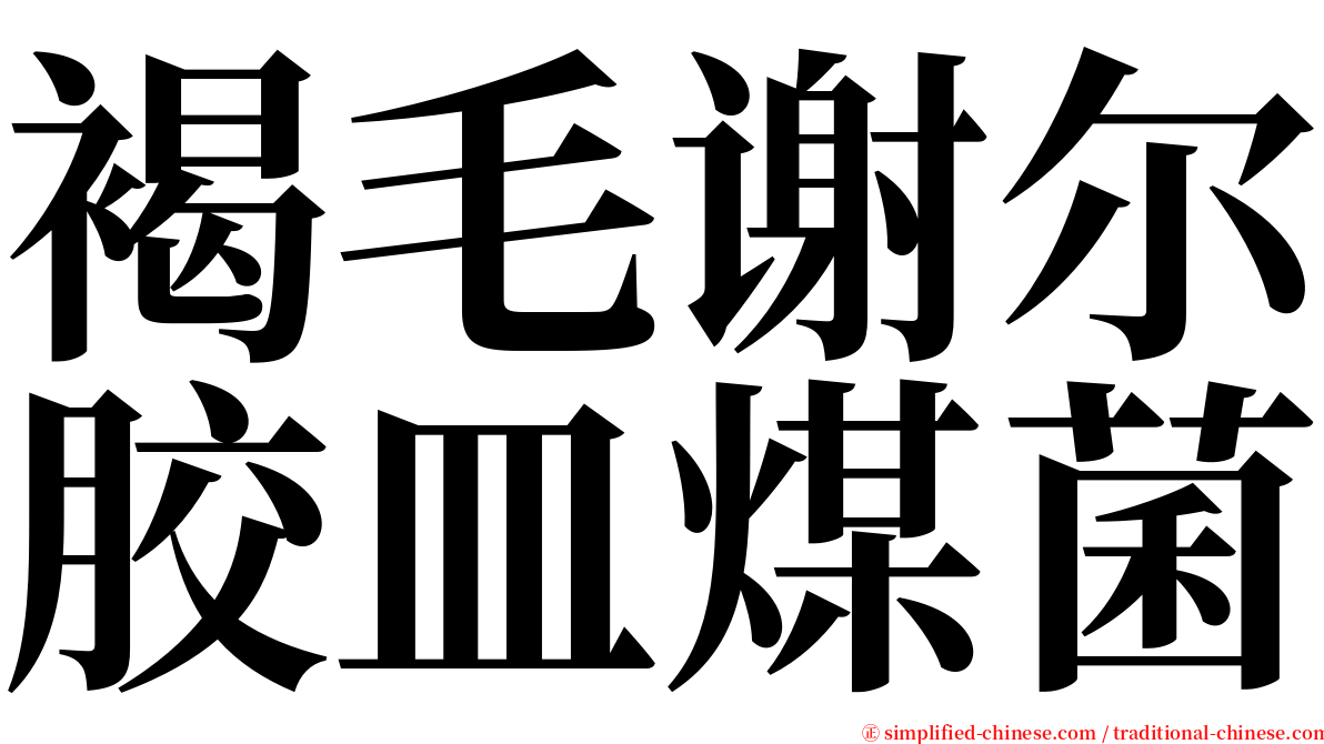 褐毛谢尔胶皿煤菌 serif font