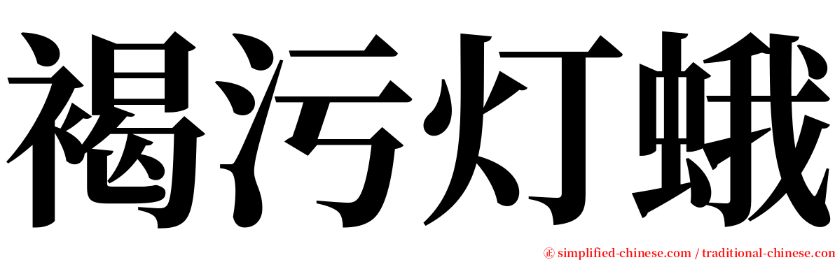 褐污灯蛾 serif font