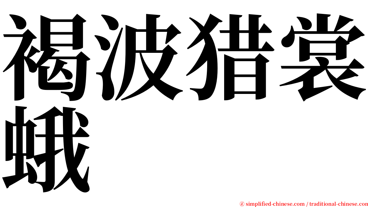 褐波猎裳蛾 serif font