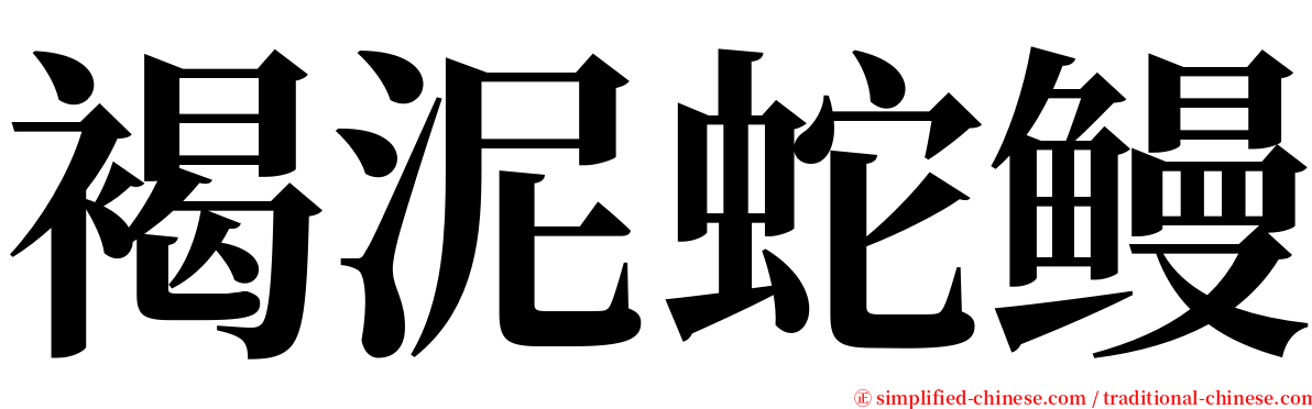 褐泥蛇鳗 serif font