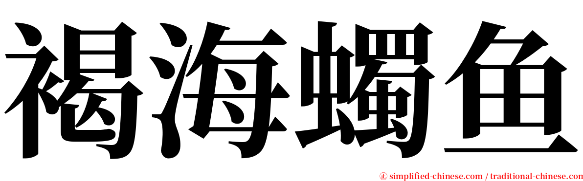 褐海蠋鱼 serif font