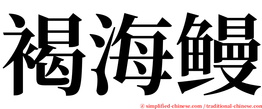 褐海鳗 serif font