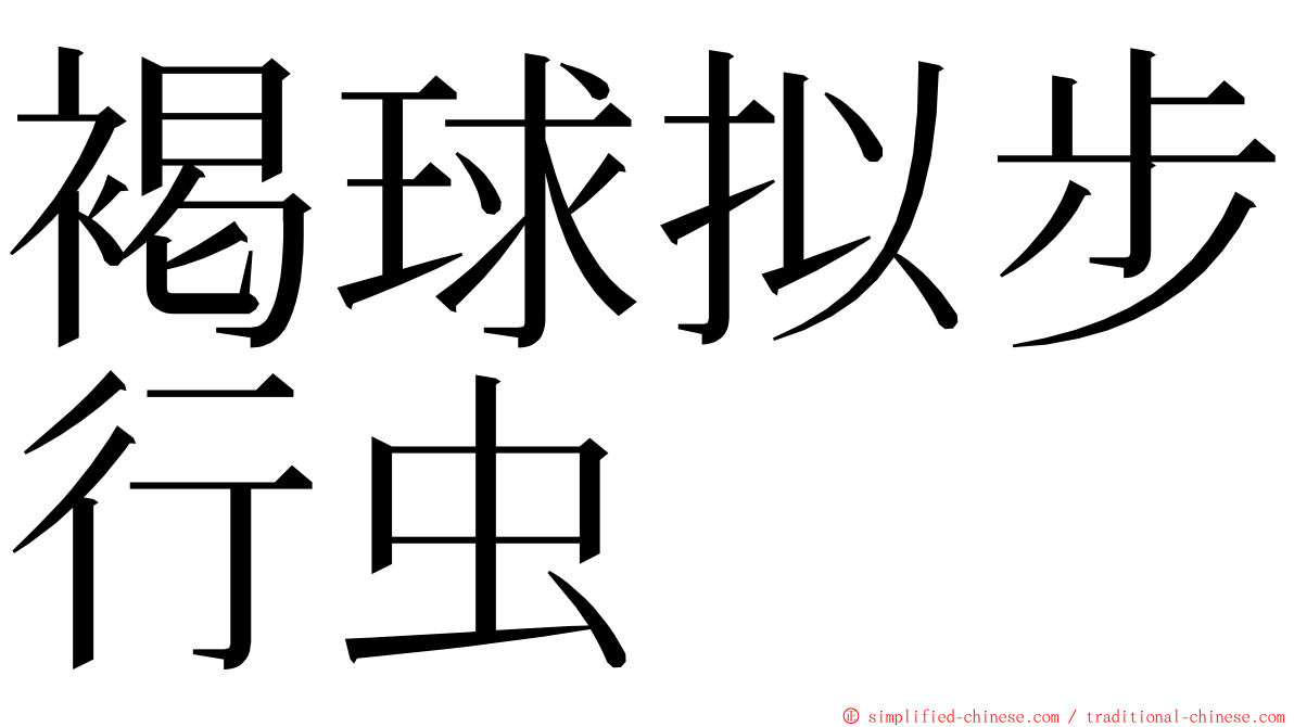 褐球拟步行虫 ming font