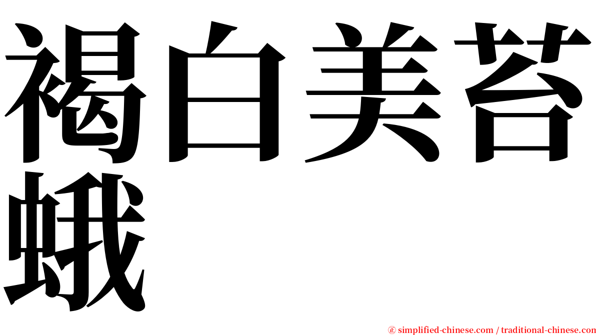 褐白美苔蛾 serif font