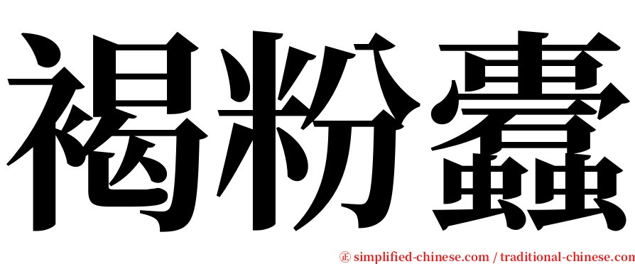 褐粉蠹 serif font