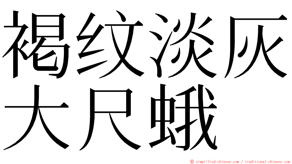 褐纹淡灰大尺蛾 ming font