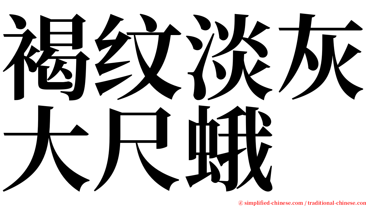 褐纹淡灰大尺蛾 serif font