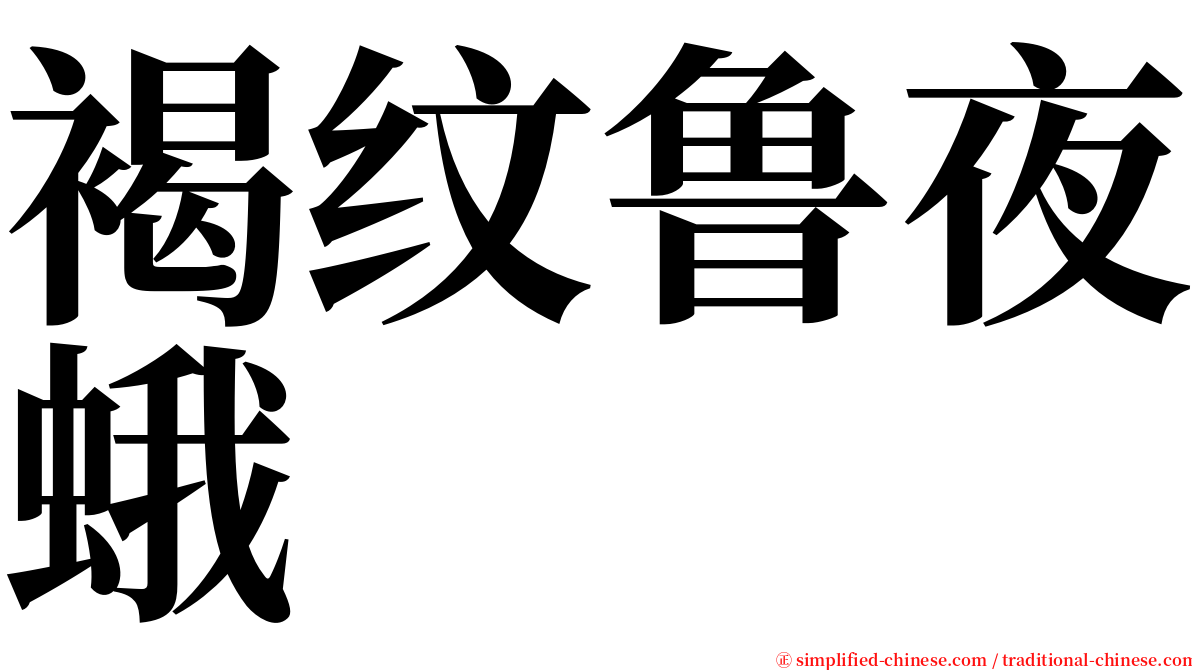 褐纹鲁夜蛾 serif font