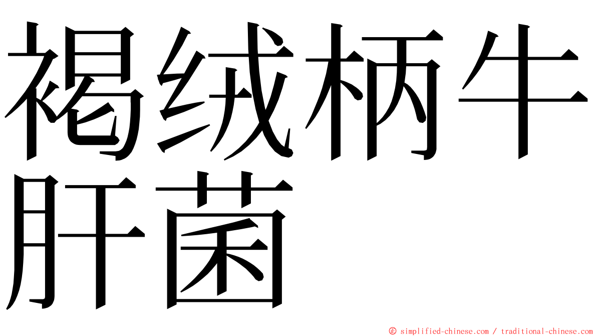 褐绒柄牛肝菌 ming font