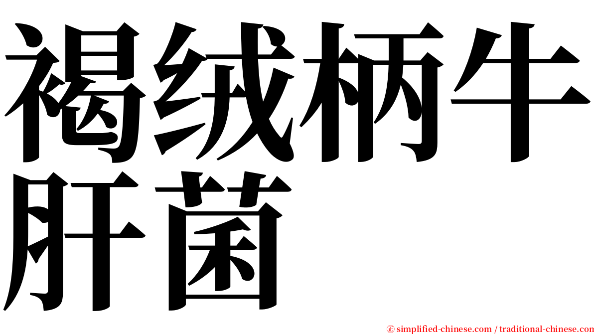 褐绒柄牛肝菌 serif font