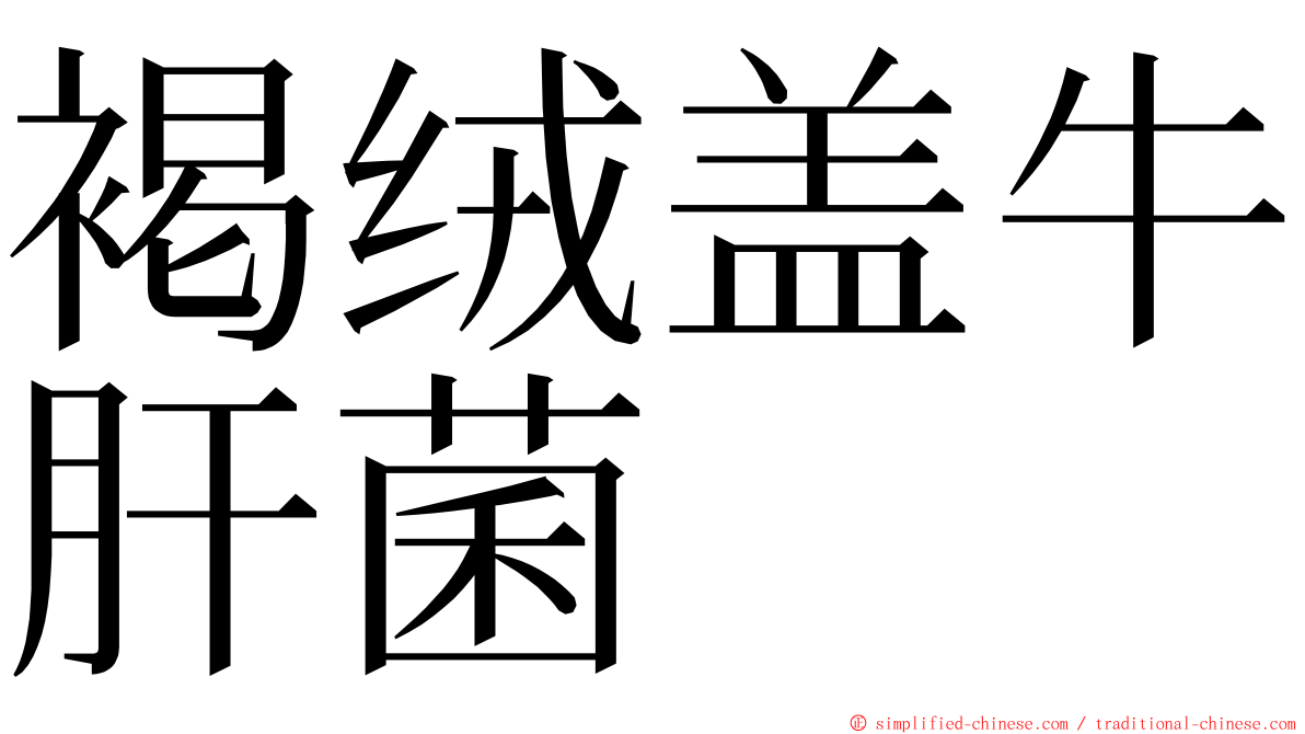 褐绒盖牛肝菌 ming font