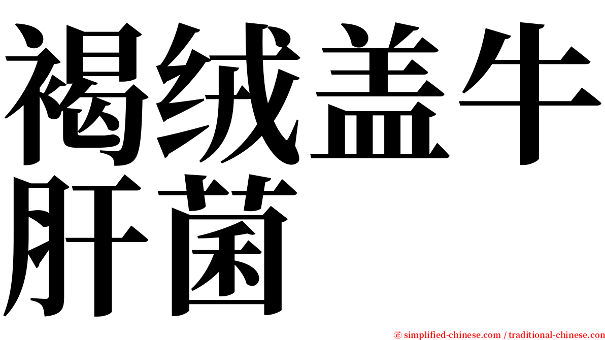 褐绒盖牛肝菌 serif font