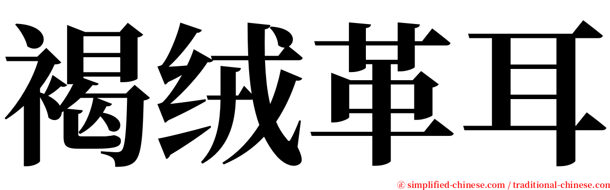 褐绒革耳 serif font