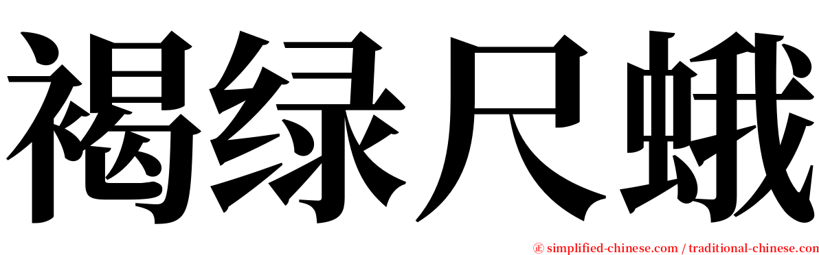 褐绿尺蛾 serif font