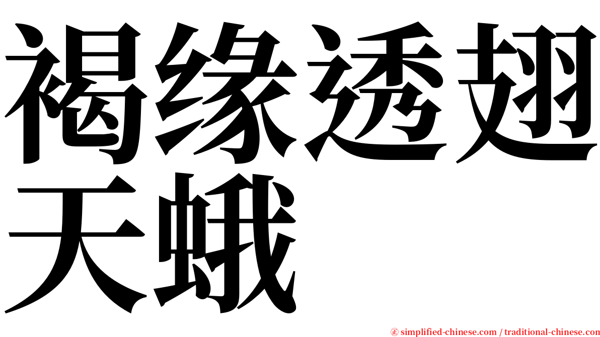 褐缘透翅天蛾 serif font