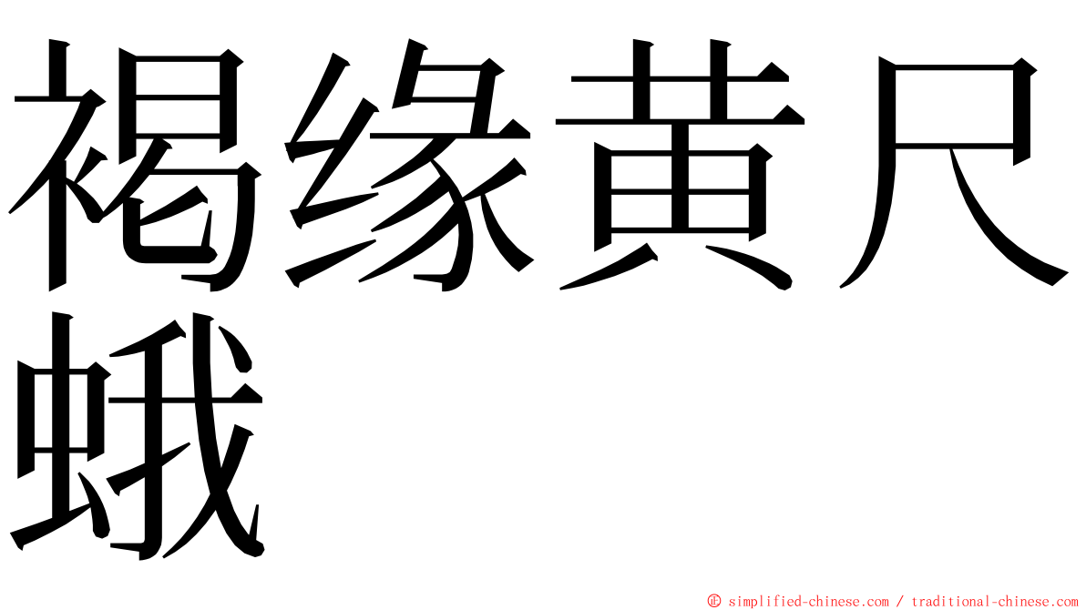 褐缘黄尺蛾 ming font