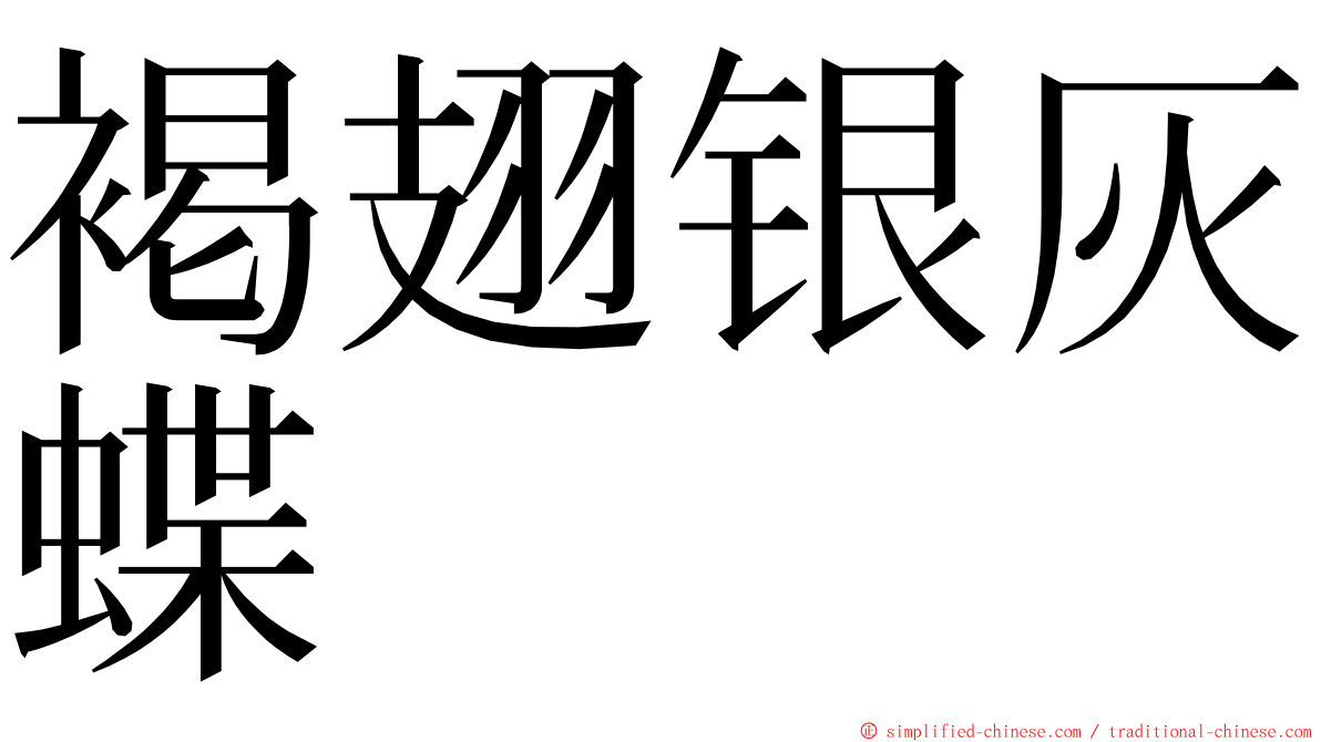 褐翅银灰蝶 ming font