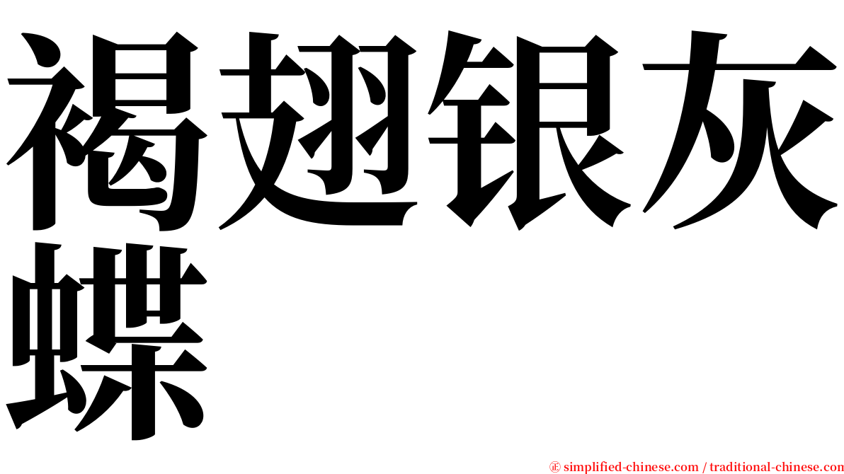 褐翅银灰蝶 serif font