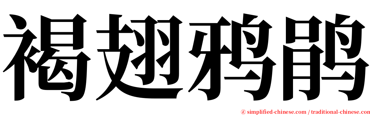 褐翅鸦鹃 serif font