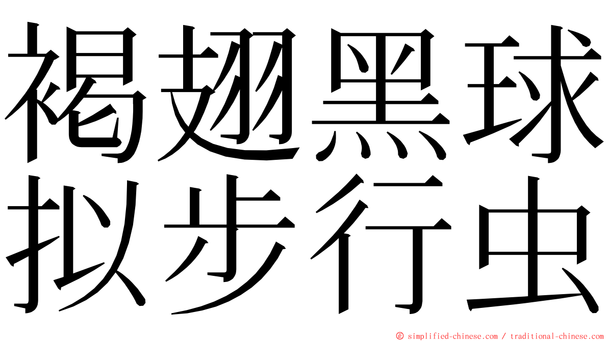 褐翅黑球拟步行虫 ming font