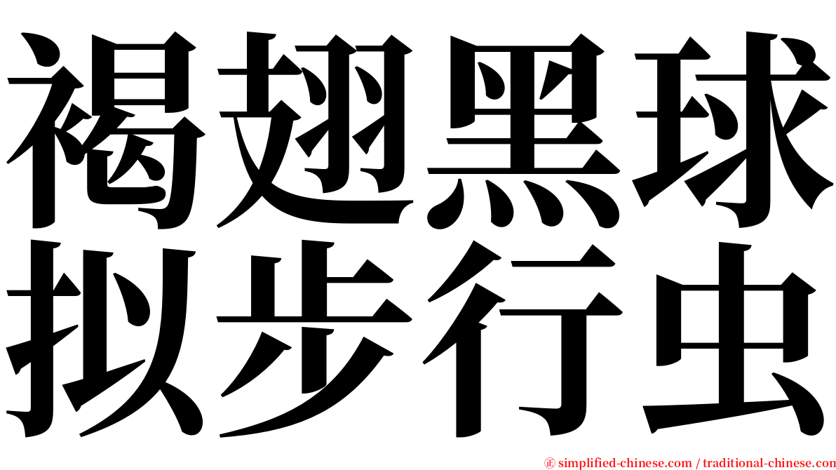 褐翅黑球拟步行虫 serif font