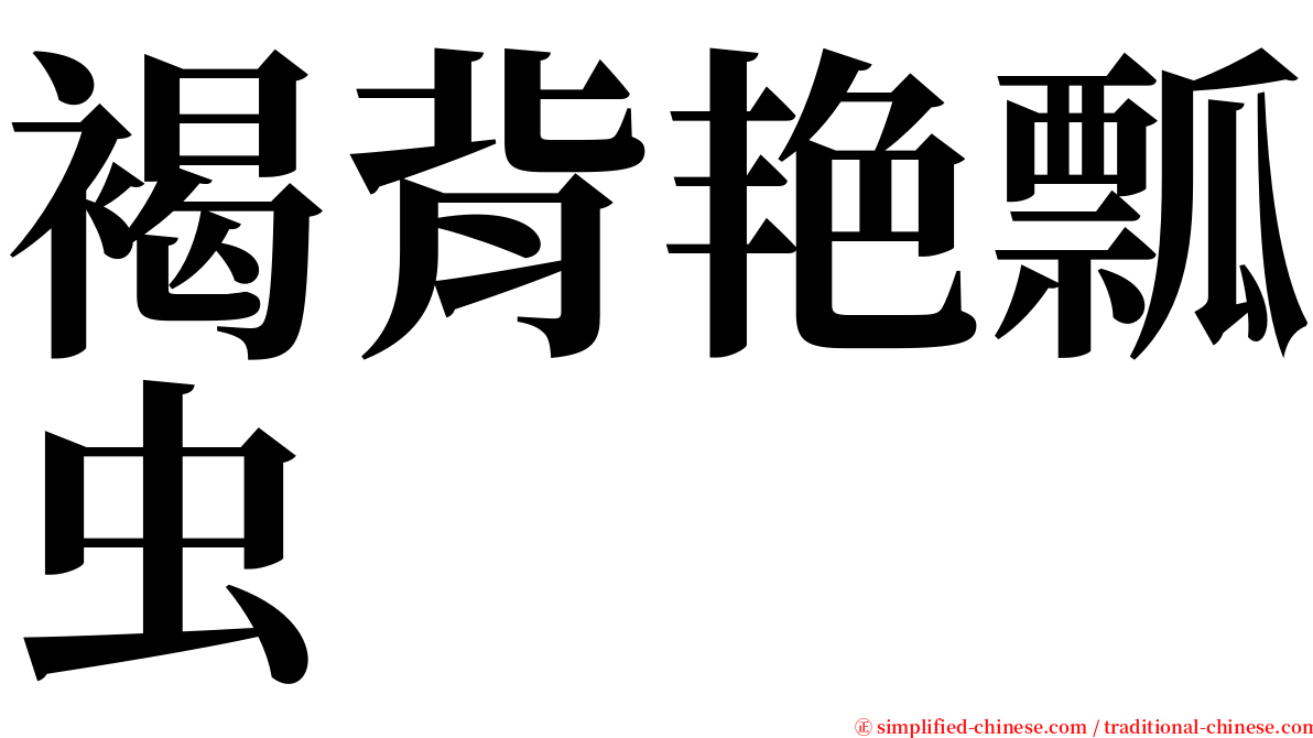 褐背艳瓢虫 serif font