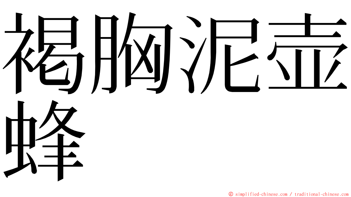 褐胸泥壶蜂 ming font