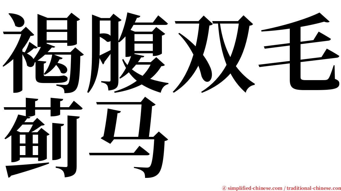 褐腹双毛蓟马 serif font