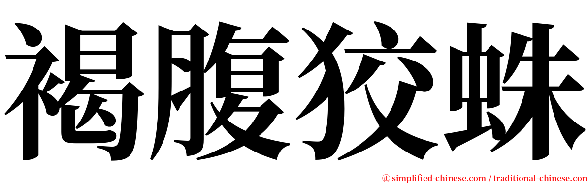 褐腹狡蛛 serif font