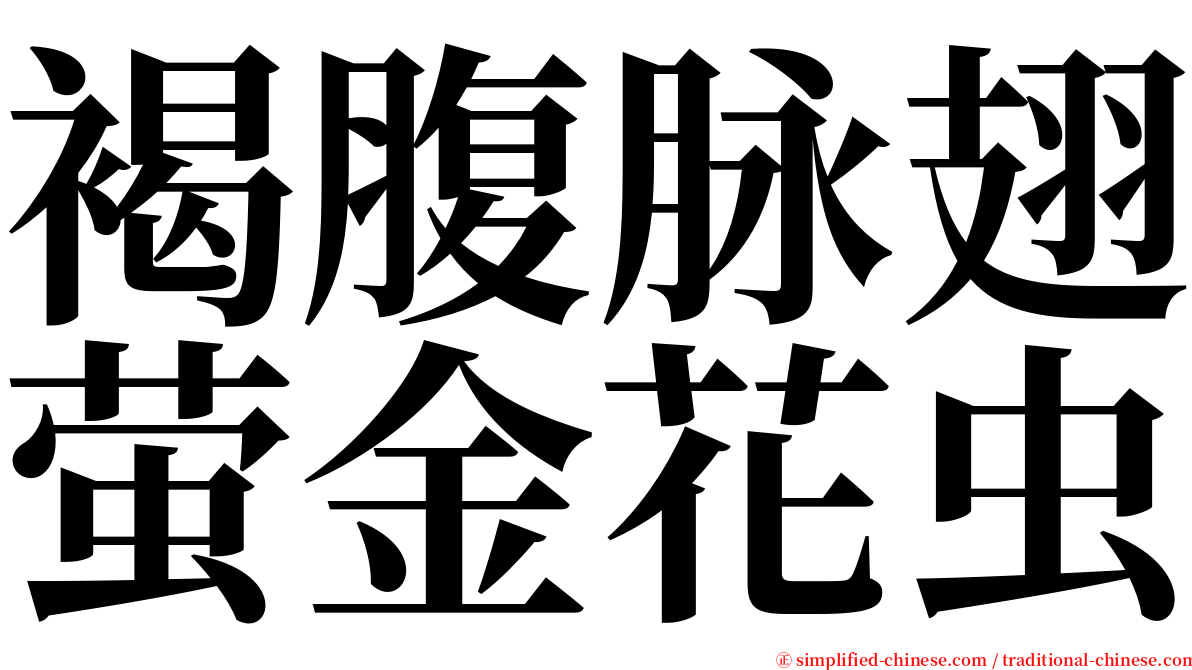 褐腹脉翅萤金花虫 serif font