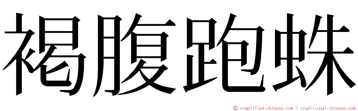 褐腹跑蛛 ming font