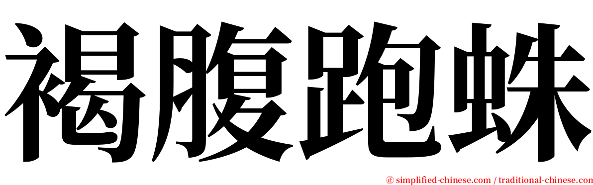 褐腹跑蛛 serif font