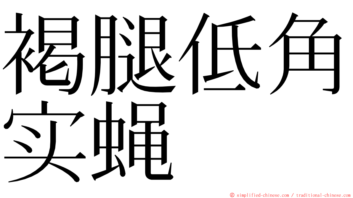 褐腿低角实蝇 ming font