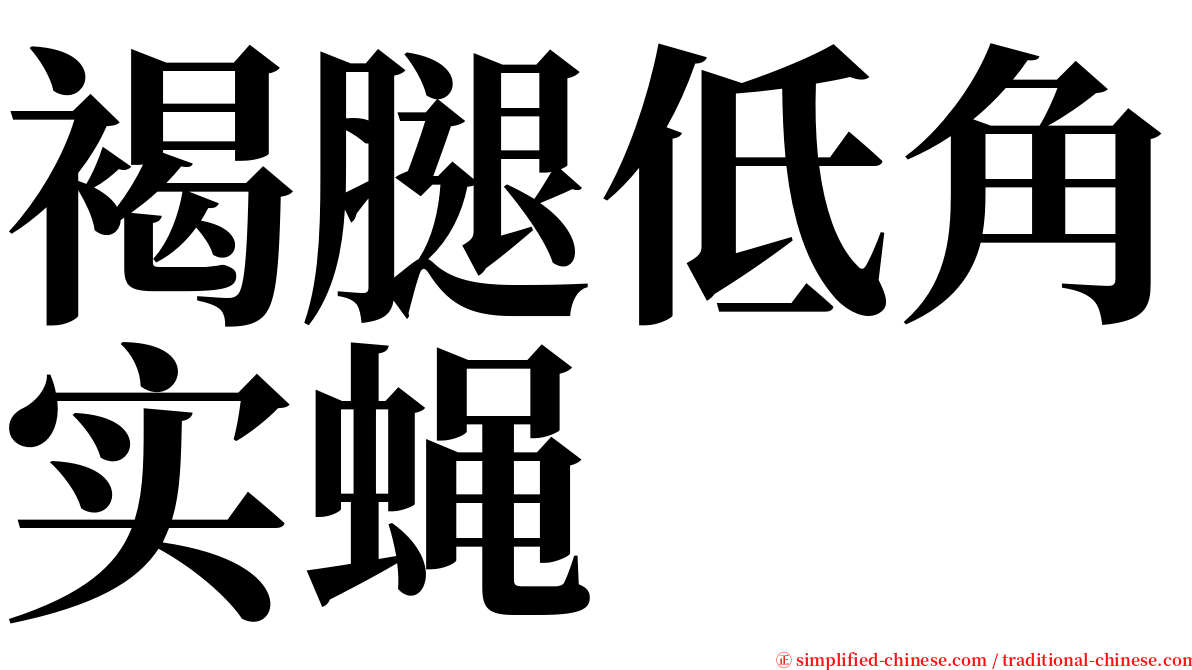 褐腿低角实蝇 serif font