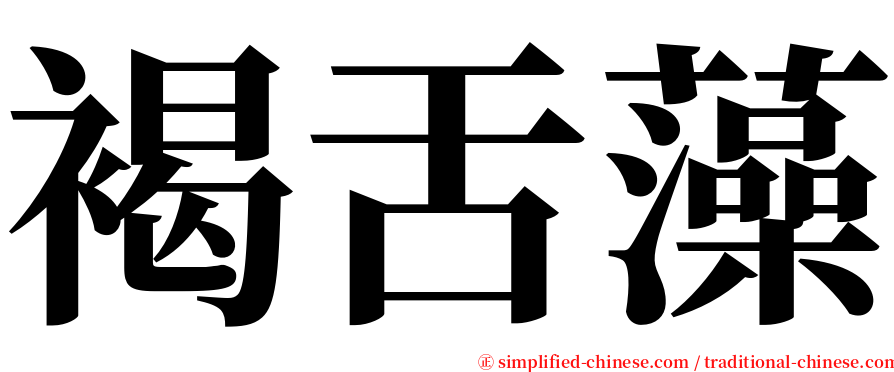 褐舌藻 serif font