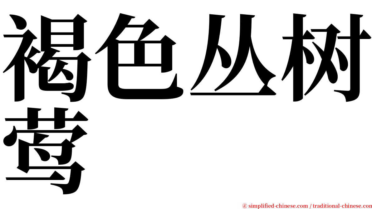 褐色丛树莺 serif font