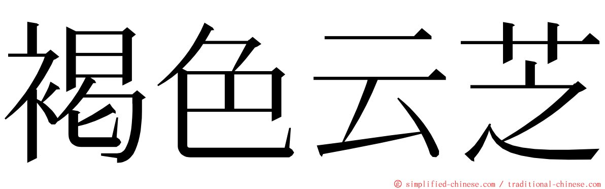 褐色云芝 ming font