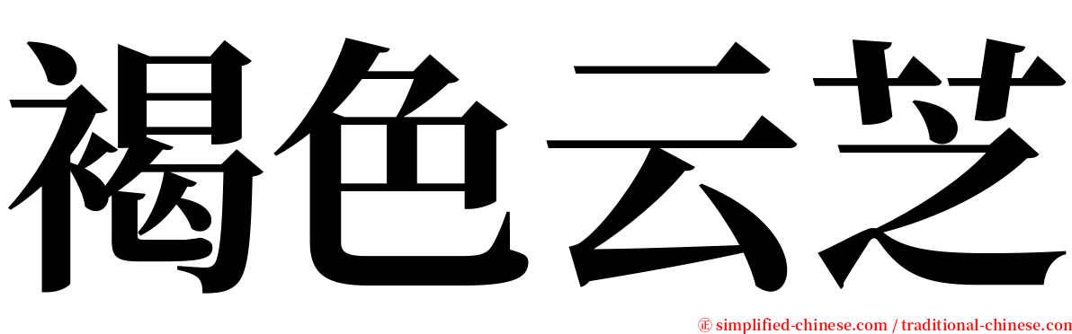 褐色云芝 serif font