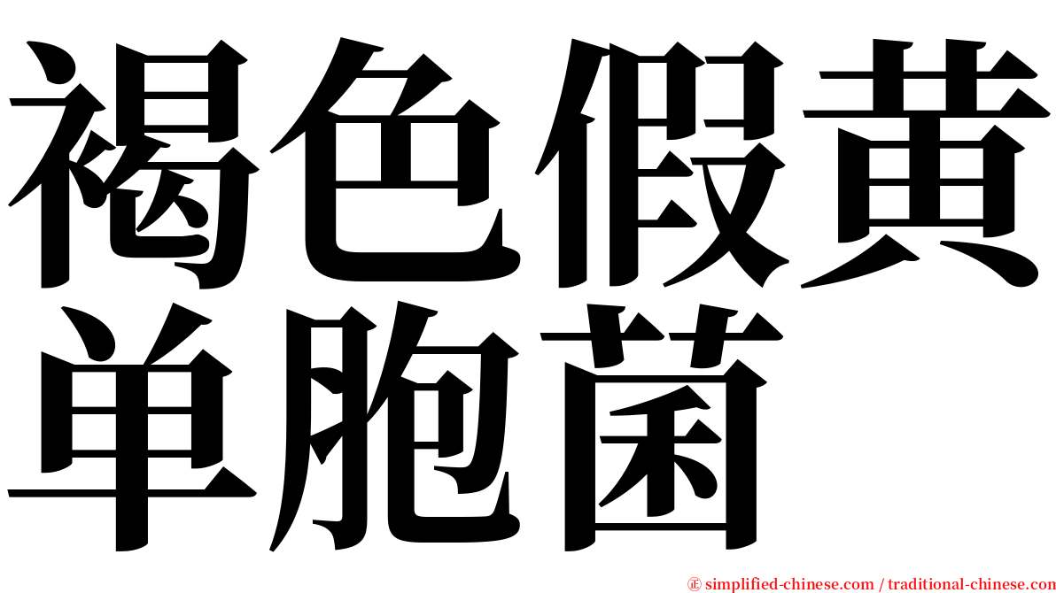 褐色假黄单胞菌 serif font