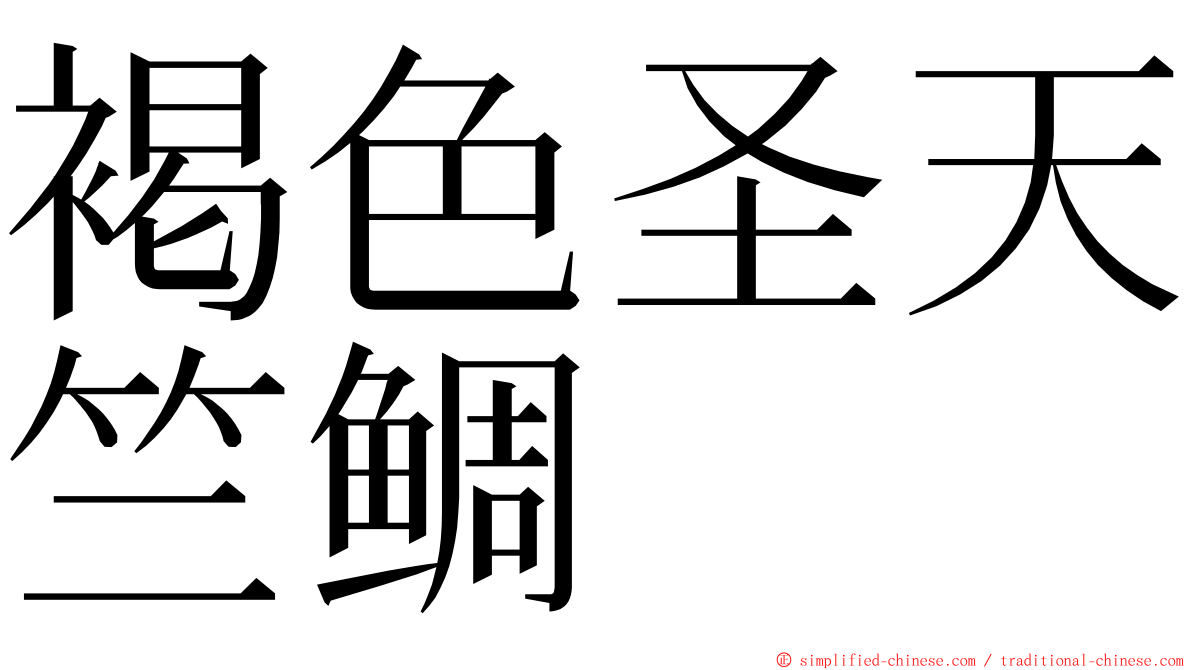 褐色圣天竺鲷 ming font