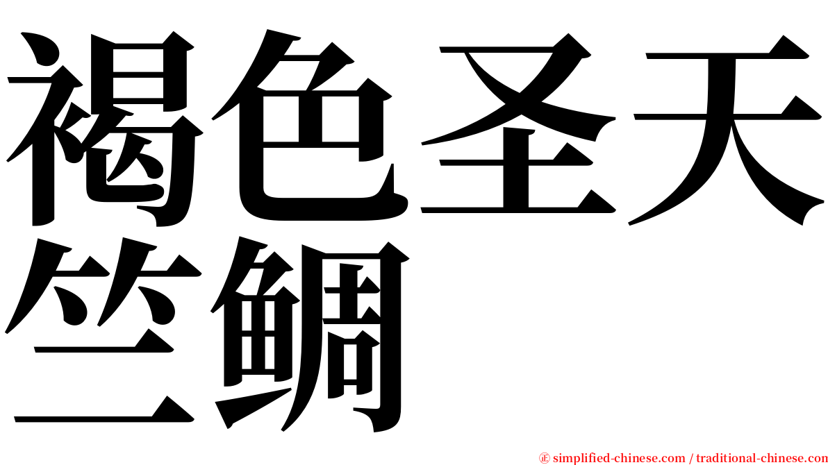 褐色圣天竺鲷 serif font